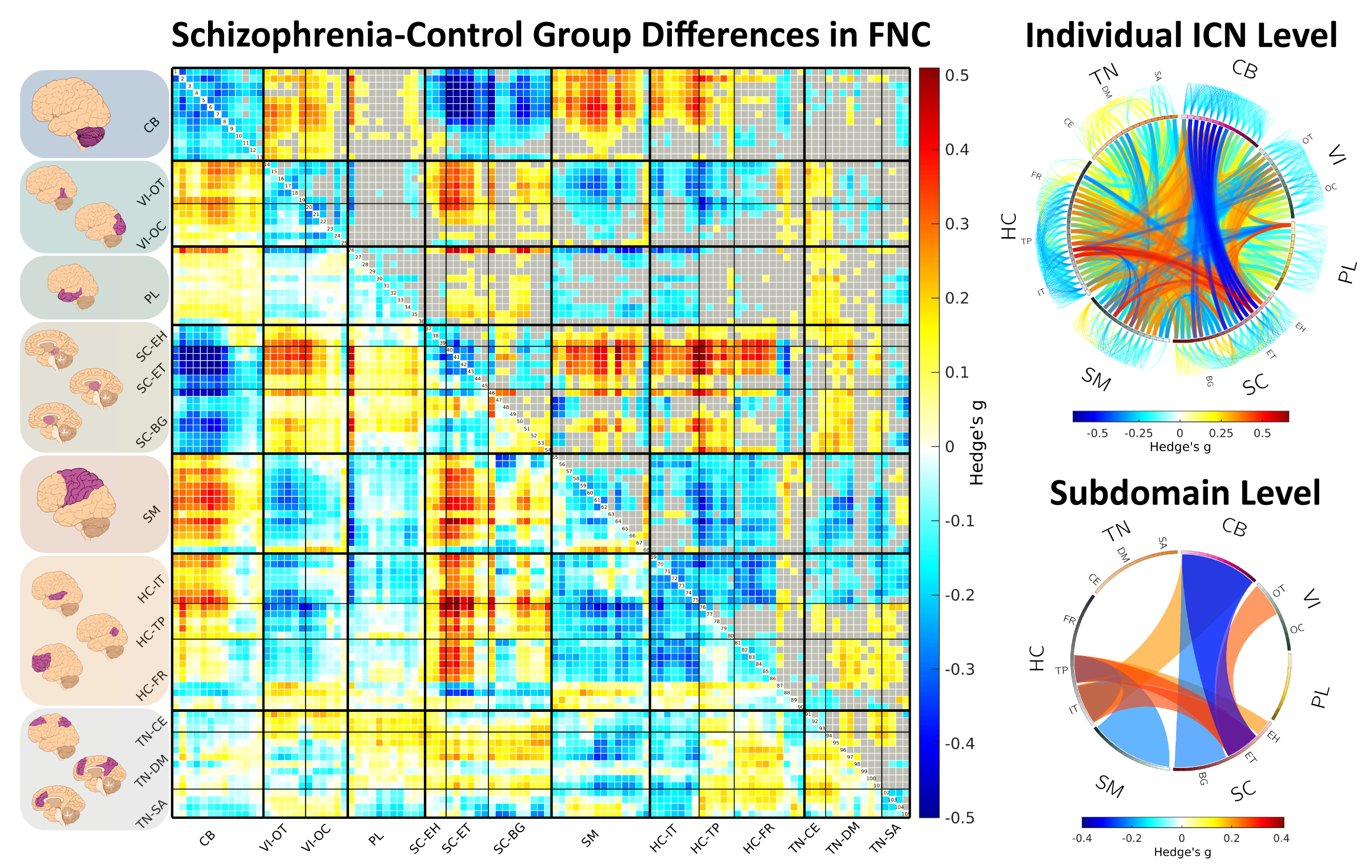 SZ-Control Group Differences in FNC