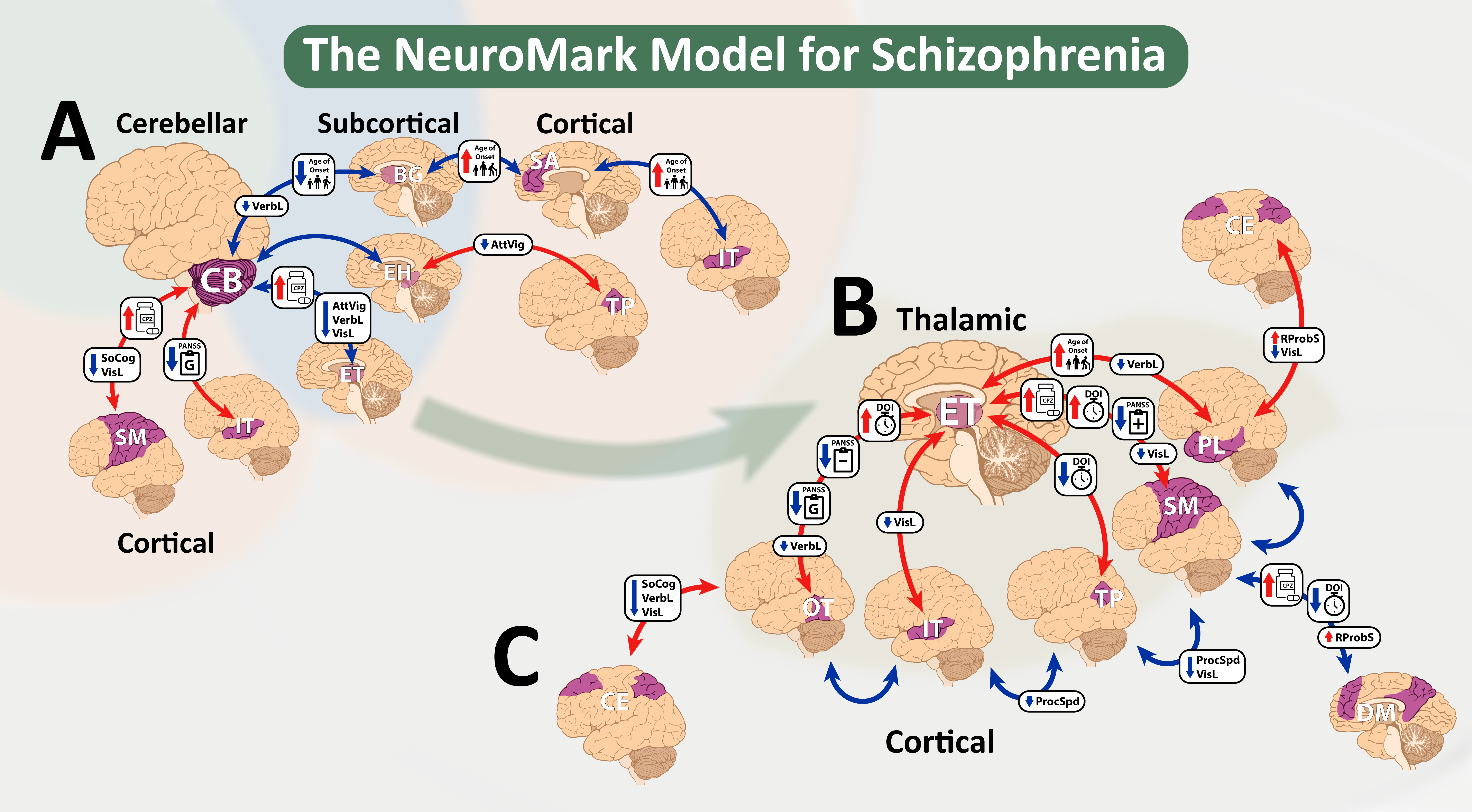 NeuroMark Model for SZ